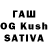 ГАШ Premium Raj Krishnamurthy